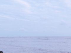 -南汇新城海滩