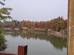 -厦门园林博览苑