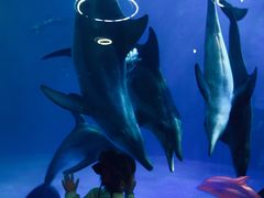 -福州罗源湾海洋世界旅游区