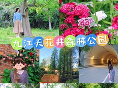-天花井景区
