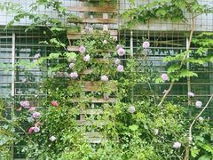 -一澜江宴·江景地标楚菜(江滩公园店)