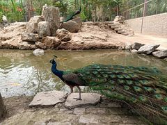 -洛阳马蹄泉旅游度假村