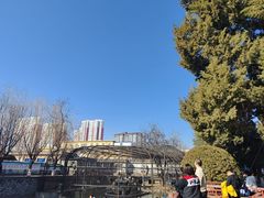 -保定市动物园