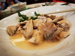 -新世纪大酒楼·30年南海菜