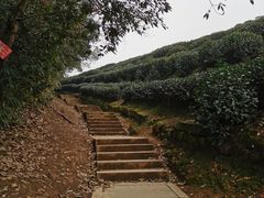 -西湖风景区十里琅珰-五云山