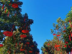 -武汉园博园(武汉自然博物馆)