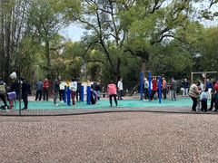-晓港公园