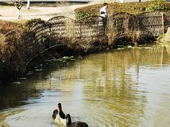 -径山花海
