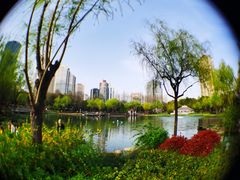 -新虹桥中心花园