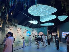 -中国湿地博物馆