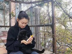 -喵屿·大理花园猫咖