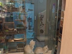 -BABIT巴比特宠物(MOMOPARK店)