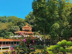 -深圳仙湖植物园