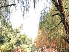 -东坡赤壁风景名胜区