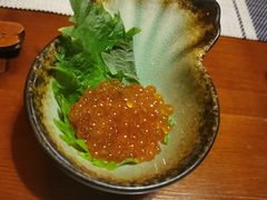 -松子日式料理(东朝阳路店)