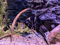 -上海海洋水族馆