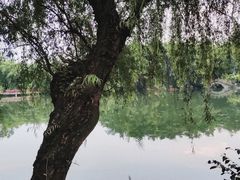 -棠湖公园