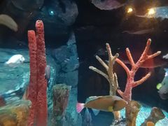 -沈阳海洋探索中心