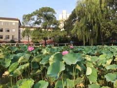 -四川大学(望江校区)
