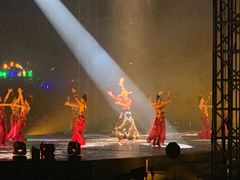 -宝能国际体育演艺中心