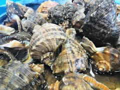 -港畔赶海蒸汽海鲜烧烤自助(仙螺岛店)