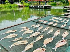 -东钱湖旅游度假区