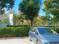 -壹伍陆连锁汽车维修美容(宝安中心区店)