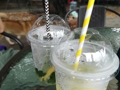 -柴犬高等学院·狗咖·柴犬售卖·宠物训练