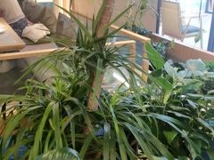 -皖香览约·徽菜(吴江吾悦店)