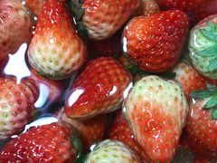 -水果天空(东葛店)