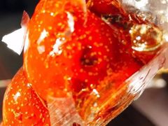 -和禄德冰糖葫芦