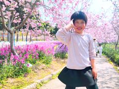-天适樱花悠乐园