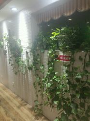 -佑米造型假发订制