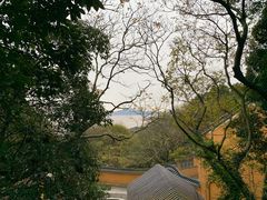 -普陀山风景区-佛顶山