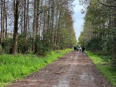 -上海海湾国家森林公园