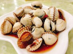 毛蚶-红灯笼龙凤饭店(宁波老字号店)