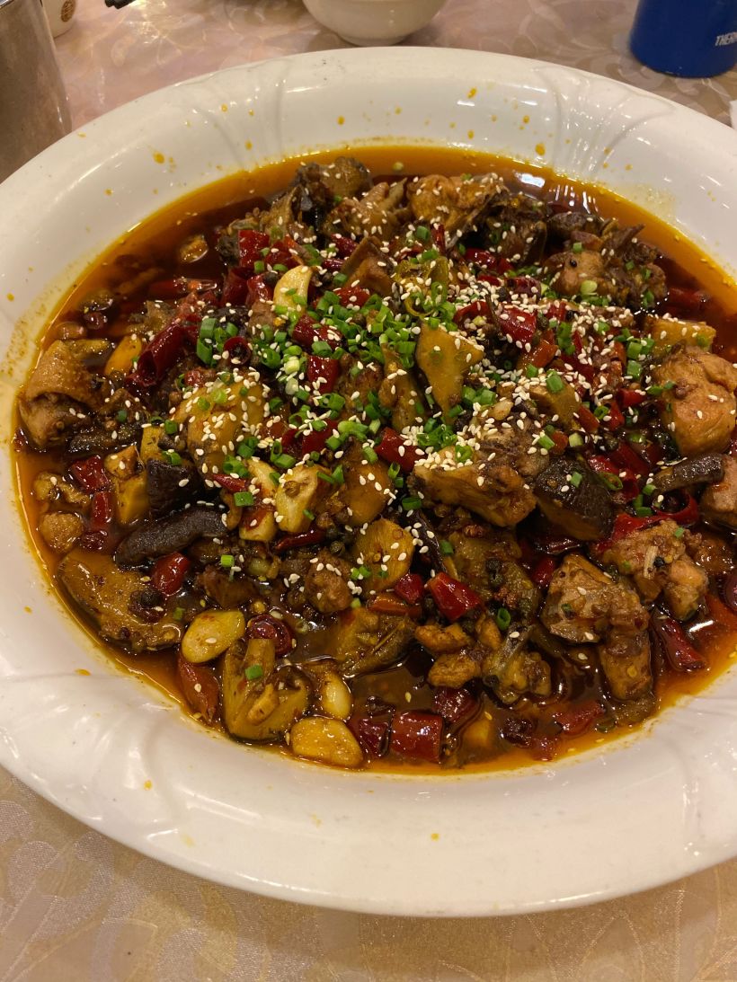 来南山怎能没有泉水鸡!-只看楼主-食记重庆-大众点评社区