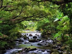 -广州市石门国家森林公园