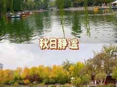 -莲湖公园