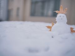 -北京邮电大学