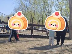 -西青郊野公园