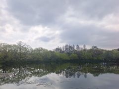 -西湖外事游船(湖滨二公园外事游船码头)