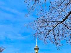 -中央广播电视塔