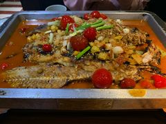 -锦尚阁烤鱼(望京新荟城店)