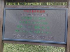 -黄海国家森林公园