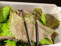 -肆幺幺烤肉(乐汇城店)