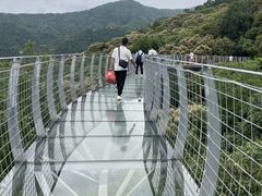 -大余丫山旅游度假区