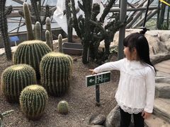-南山植物园
