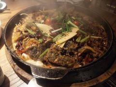 -老板恋上鱼(印象城店)