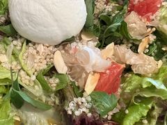 -Wagas沃歌斯(正大乐城店)